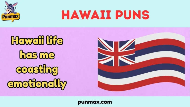 Hawaii puns