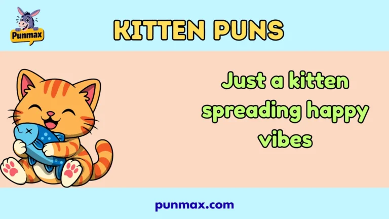 Kitten puns