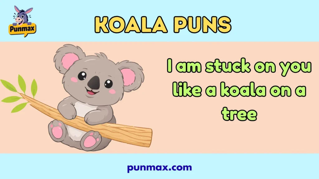 Koala puns