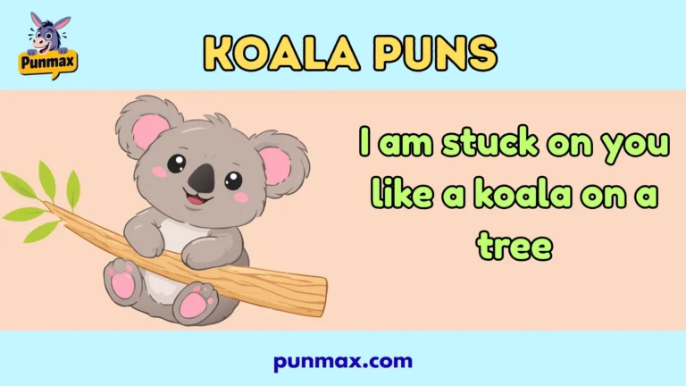 Koala puns