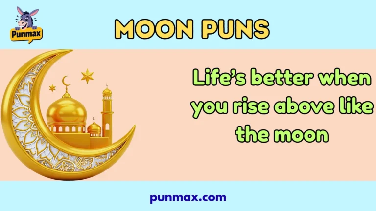 Moon puns
