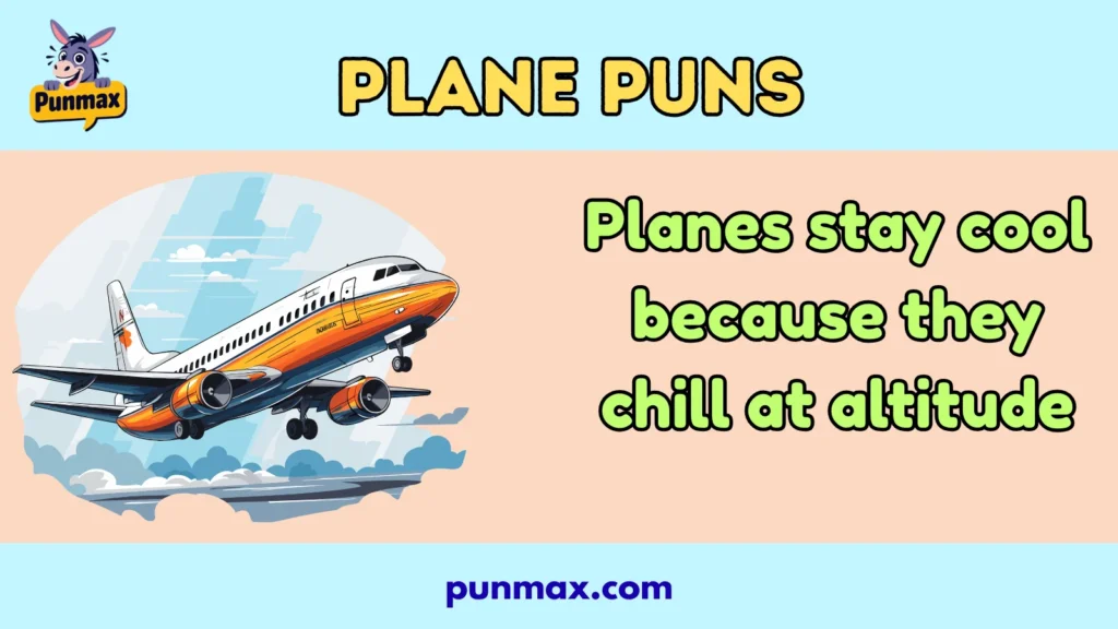 Plane puns
