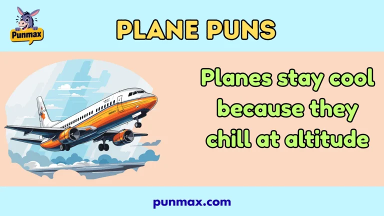 Plane puns