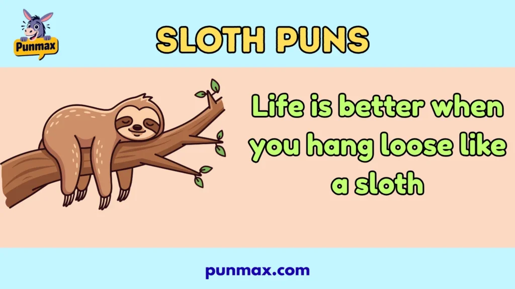 Sloth puns