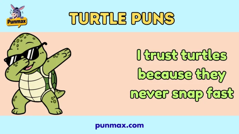 Turtle puns