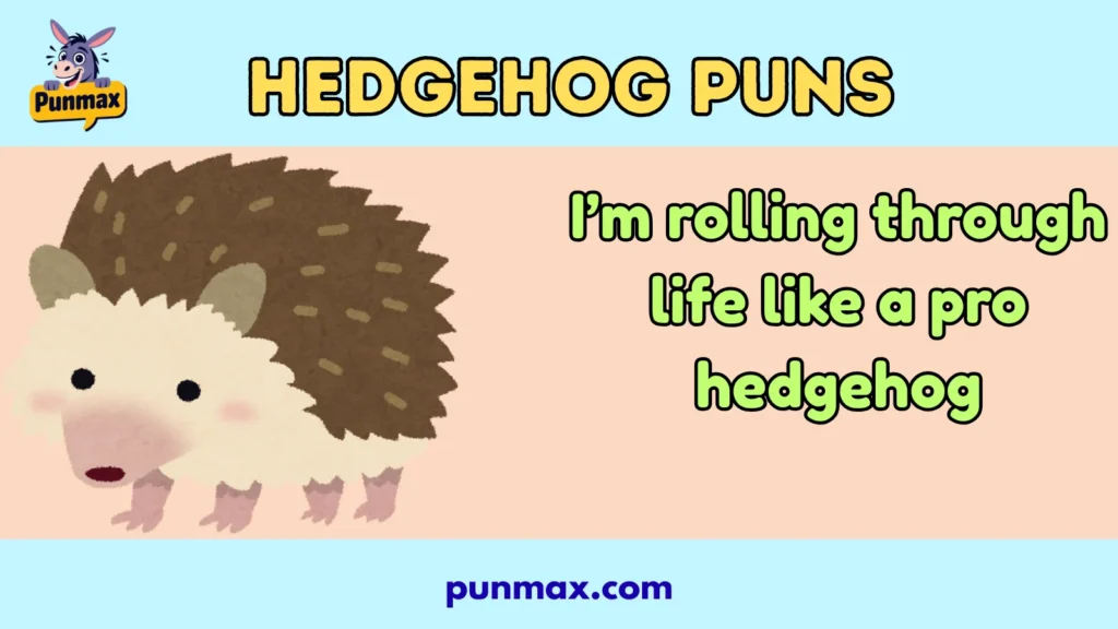 Hedgehog puns