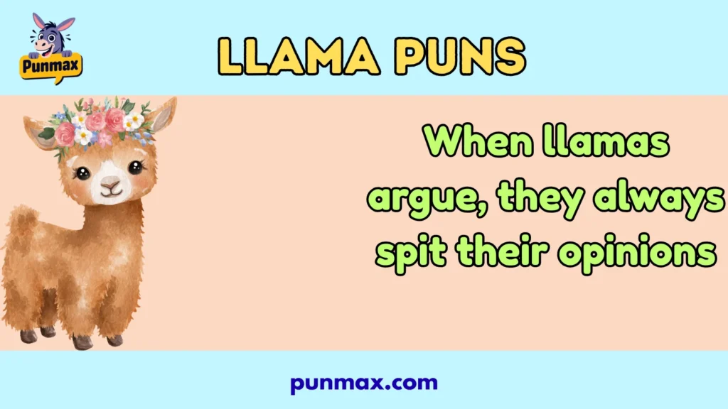 Llama Puns