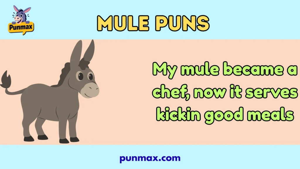 Mule puns