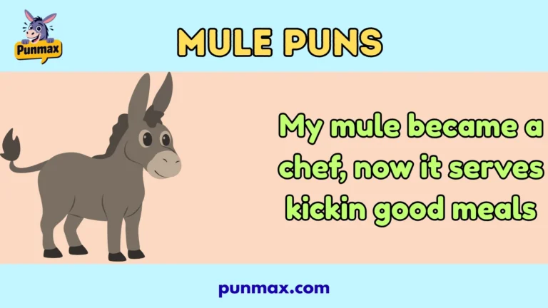 Mule puns