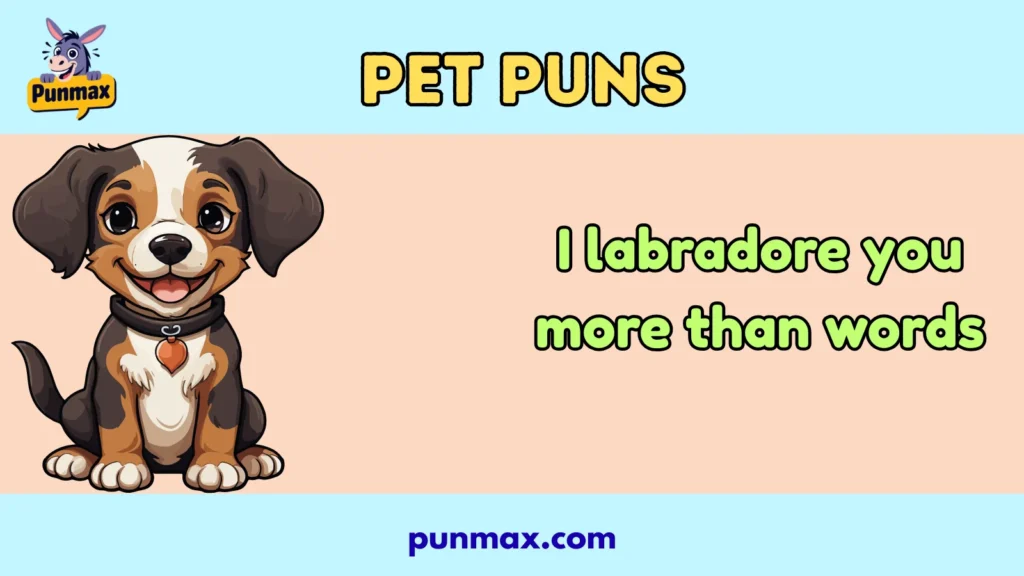 Pet puns