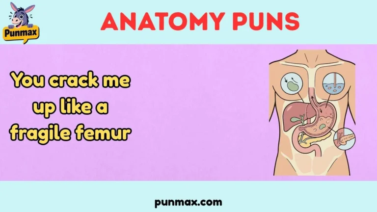 Anatomy Puns