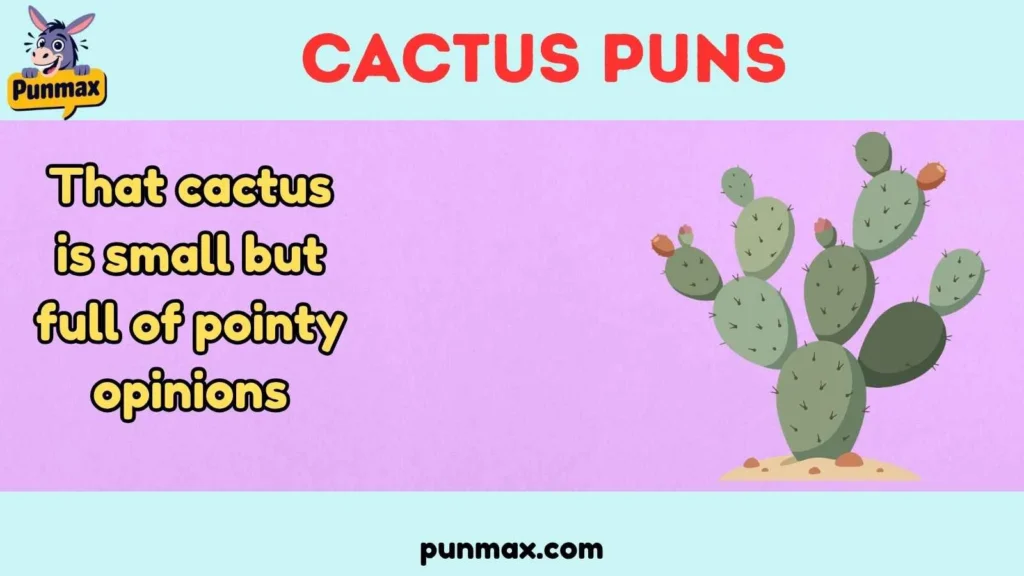 Cactus Puns