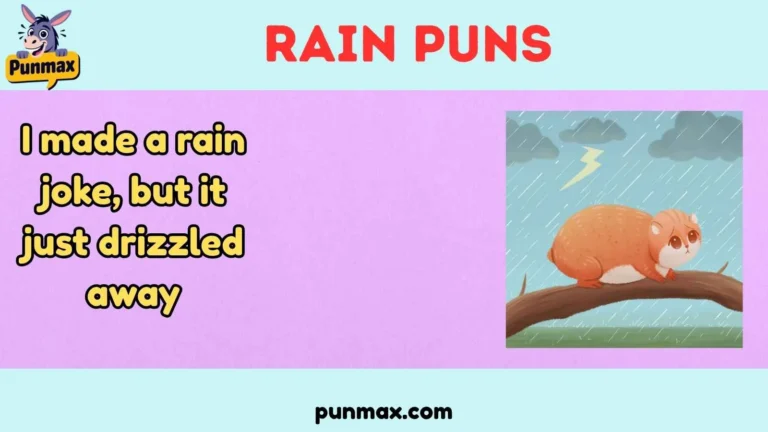 Rain Puns